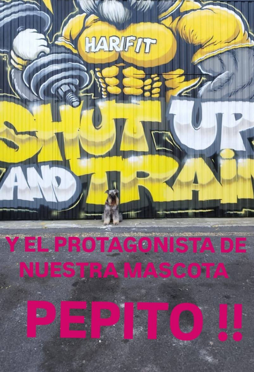 Pepito, mascota oficial de Harifit