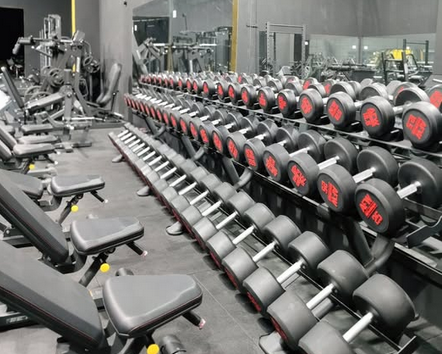 Zona de entrenamiento Harifit